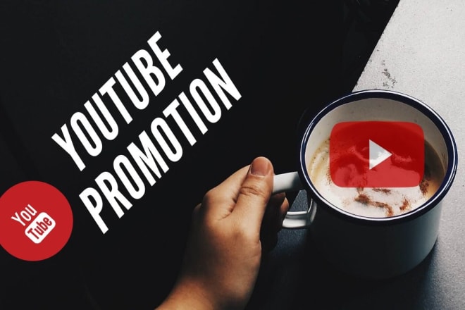 I will do organic youtube promotion or spotify music promotion