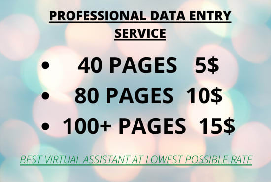 I will do professional data entry, typing job at low rates