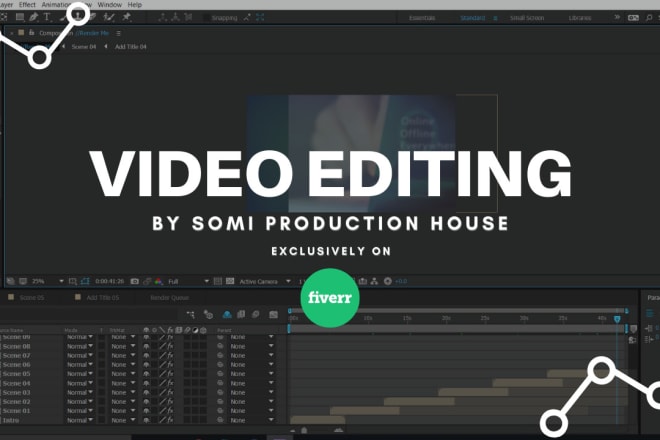 I will do professional video editing and post production in 24h