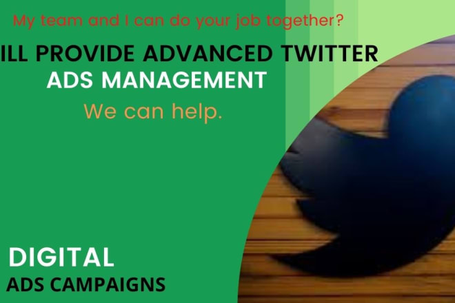 I will do provide advanced twitter ads campaigns and management