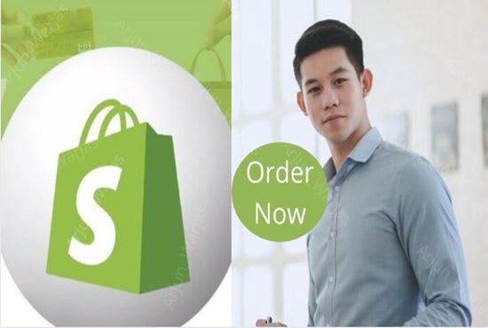 I will do sales ROI guarantee shopify ecommerce marketing USA traffic facebook ads