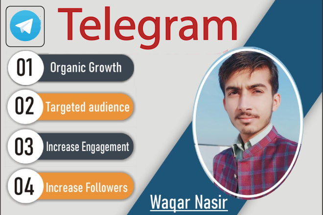 I will do telegram promotion fast organic growth in group and channels