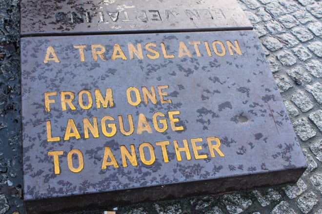 I will do translation job of any international language