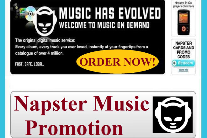 I will do viral napster music promotion to targeted real audience