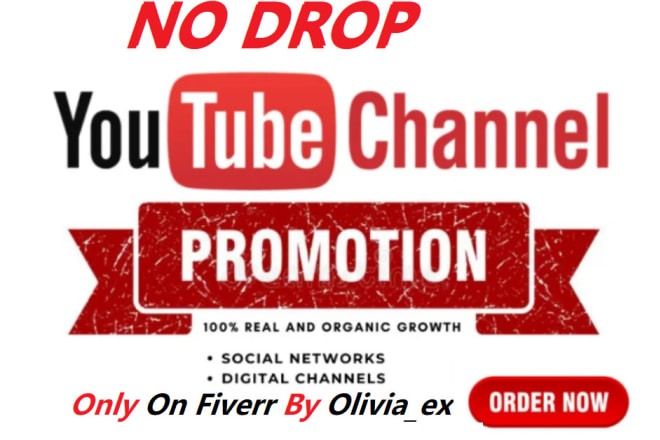 I will do viral youtube channel video promotion