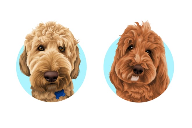 I will draw your pet into vector art cartoon under 24 hours