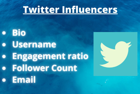 I will find twitter influencer for your niche