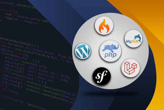 I will fix and develop PHP website scripts