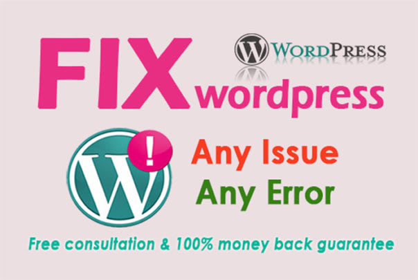 I will fix wordpress menu, header, footer,css issue with in 24hrs
