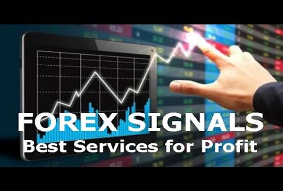 I will give you forex signal 1000 pips monthly