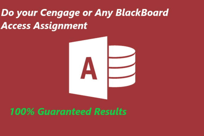 I will help you in ms access assignment with perfection