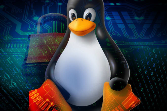 I will help you with linux web and mail server or other linux issues