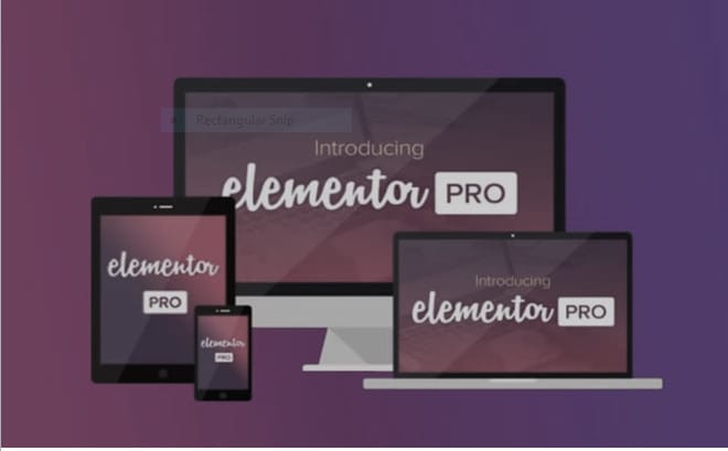 I will install elementor pro astra pro and element pack licensed updatable