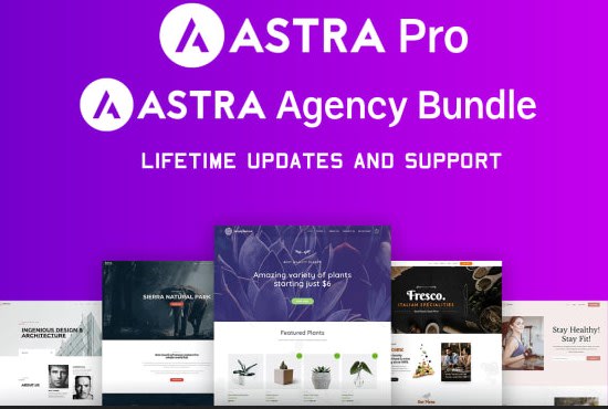 I will install elementor pro with license activated and astra theme