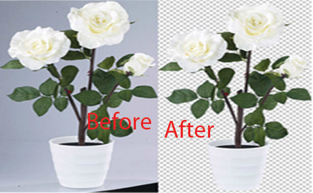 I will make transparent background in photoshop