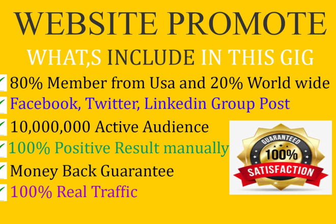 I will promote and advertise your website,blog and business to social media people