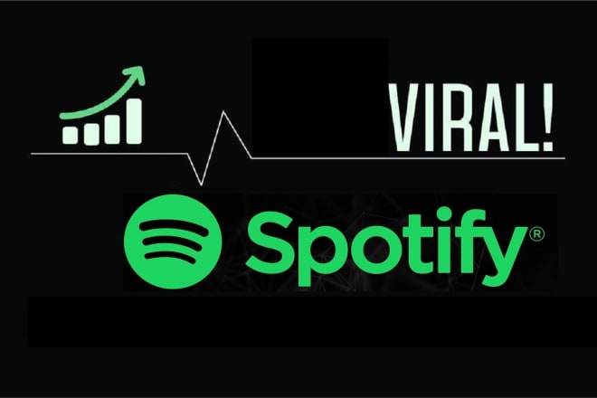 I will promote your spotify music radio stations for track