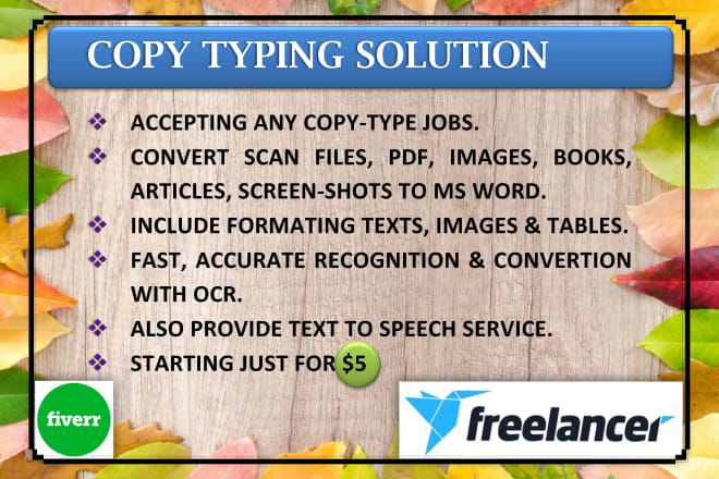 I will provide copy typing service