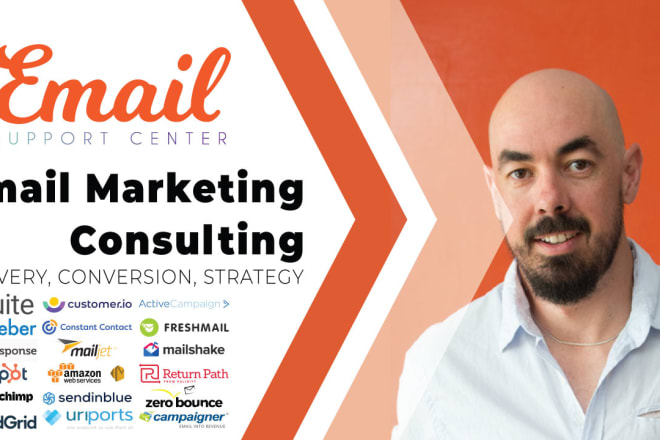 I will provide email marketing consulting