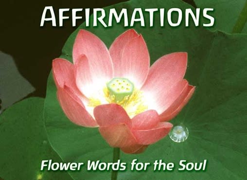 I will record audio affirmations for improving your mind while you sleep