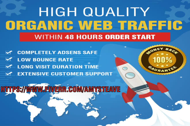 I will send america and europe target organic web traffic