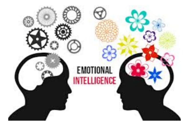 I will send an emotional intelligence professional training course for just 10 dollars