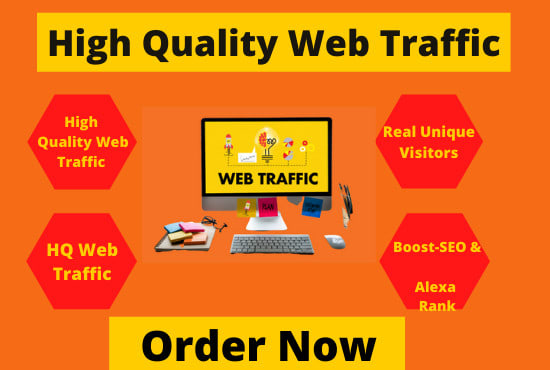 I will send high quality targeted web traffic real visitors to your website