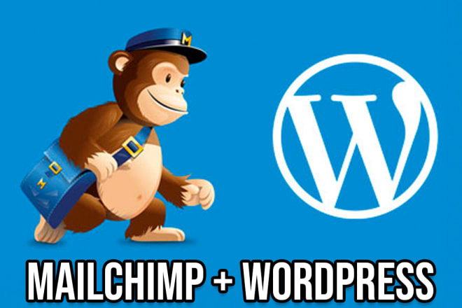 I will set up and style your mailchimp signup form