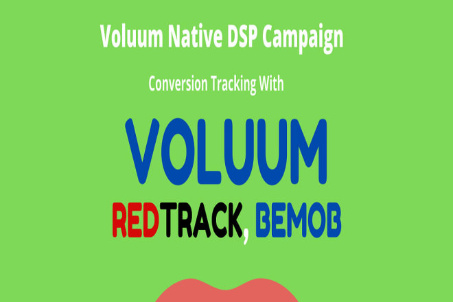 I will setup and manage voluum dsp and conversion tracking campaign