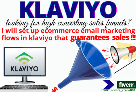 I will setup ecommerce klaviyo shopify sales email marketing and facebook ads promotion