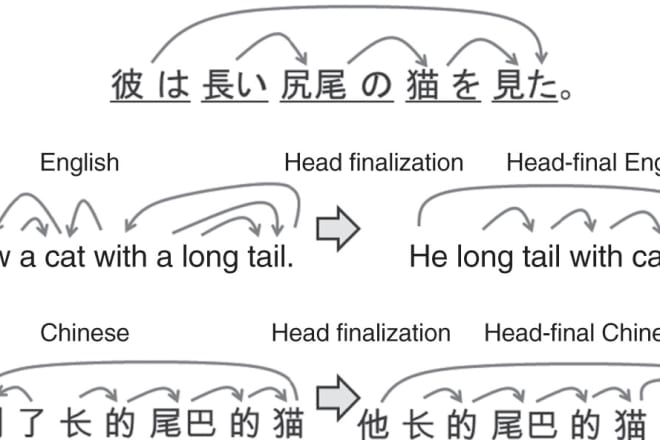 I will translate any korean and japanese document to english