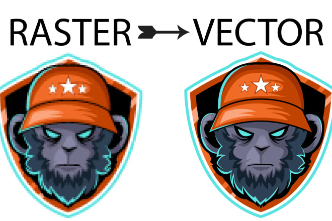 I will vector trace or redraw your logo in vector format