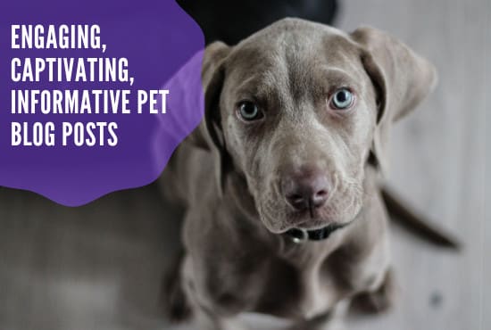 I will write a captivating pet blog post for your pet blog
