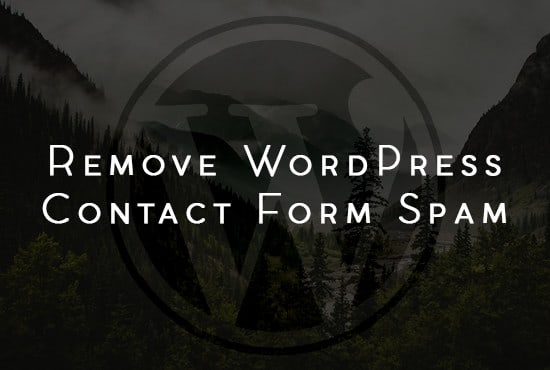 I will add spam protection to wordpress contact form quickly