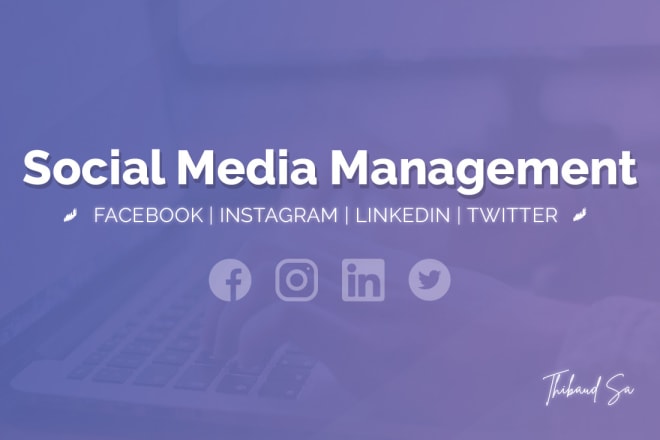 I will be your social media manager and community manager