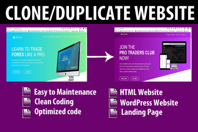 I will clone, copy or duplicate the site you provided