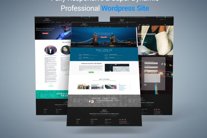 I will create a responsive wordpress website,blog site,landing page