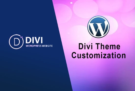 I will customize your divi theme