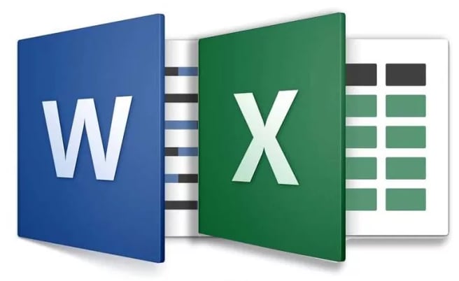 I will do any type of ms office work especially ms word or excel