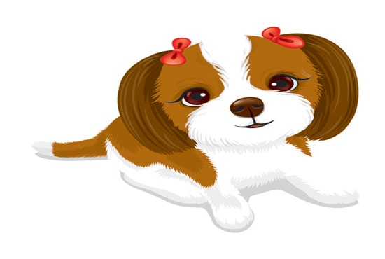 I will do cartoon caricature vector illustration dog cat animal pet