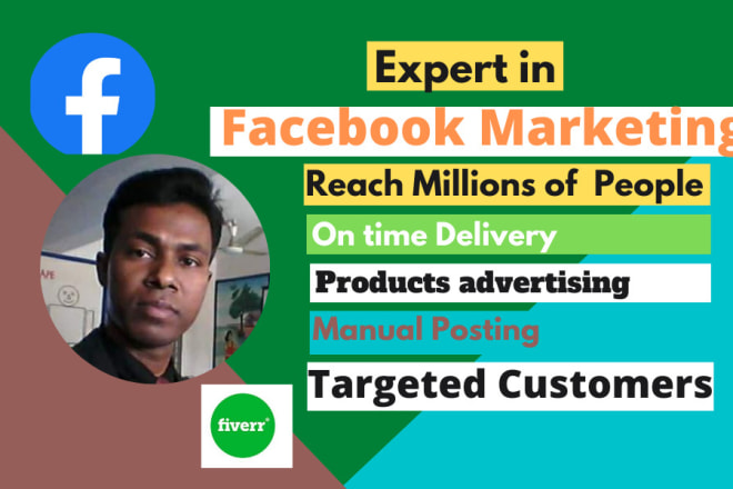 I will do facebook marketing to your business or products in USA