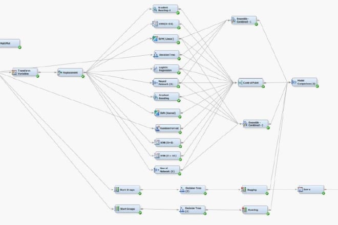 I will do SAS enterprise miner, data mining projects