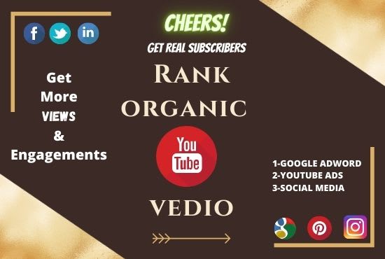 I will do super fast organic youtube video promotion with seo