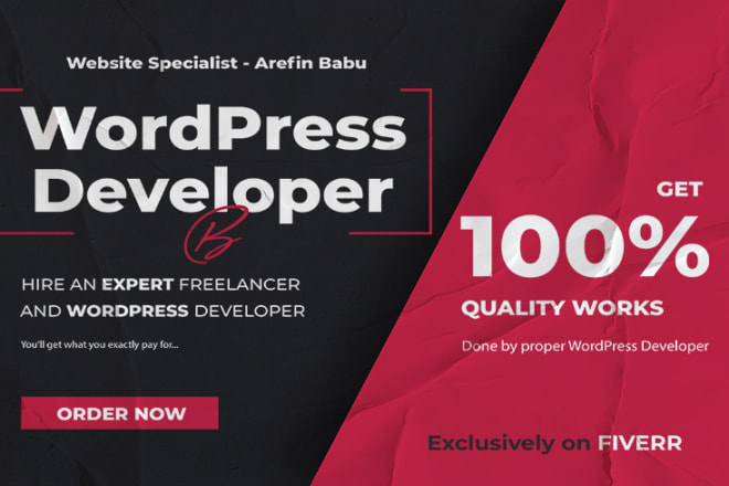 I will do website development and be your wordpress developer