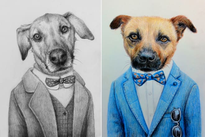 I will draw you a pet portrait sketch or another animal