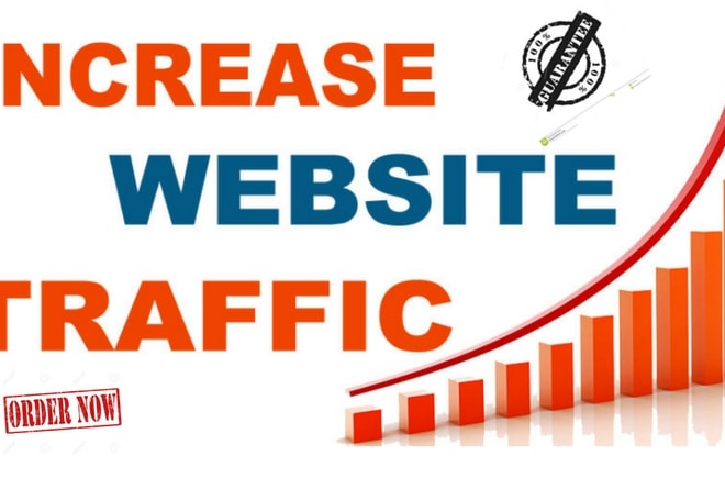 I will drive cheap web traffic to your website