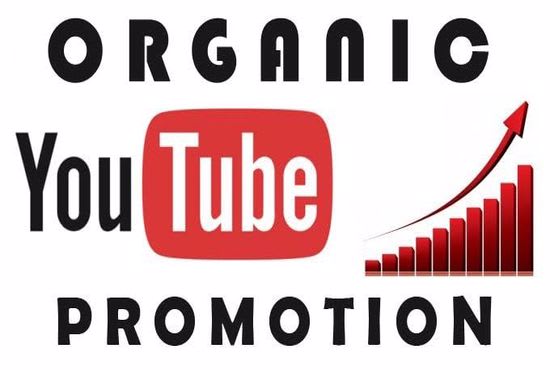 I will effectively shout out your channel to 100k audience,youtube shout,monetization