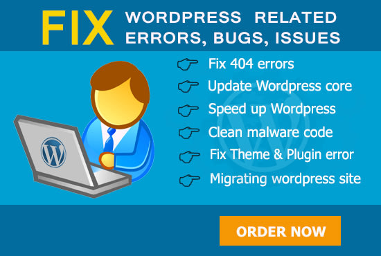 I will fix errors, bug or problems in your wordpress
