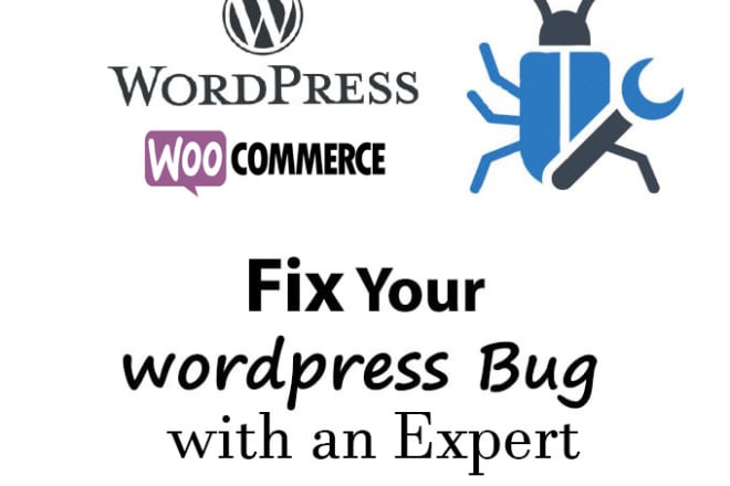 I will fix your wordpress bug or error in 1 hour