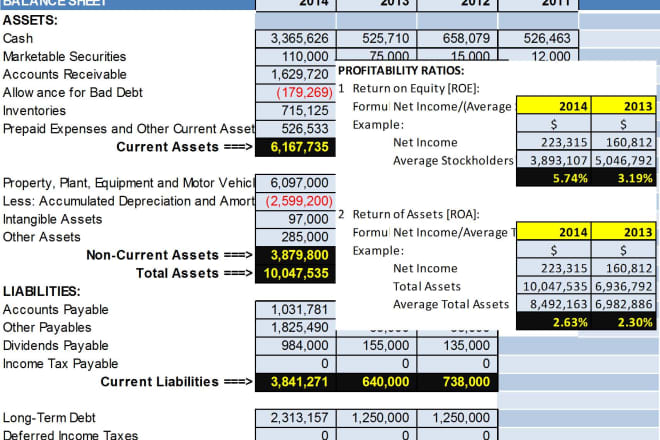 I will prepare your financial statements with 22 financial ratios